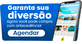 Garanta sua Diversão